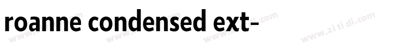 roanne condensed ext字体转换
